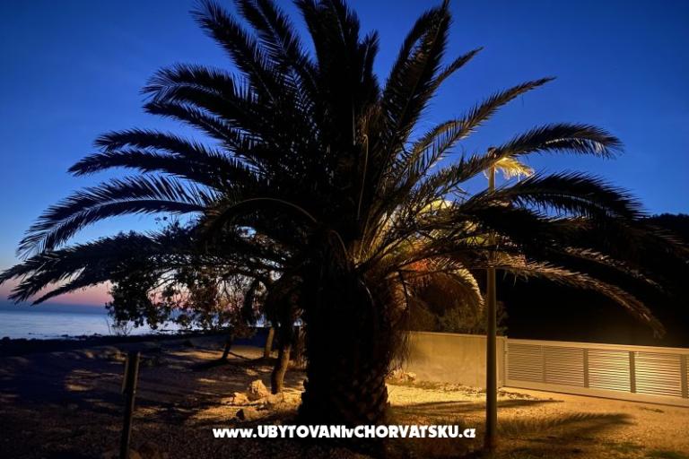 Apartment Adria – photo 6