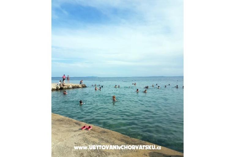 Villa Niva  – photo 15