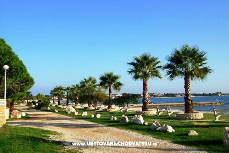 Villa Selina – photo 4