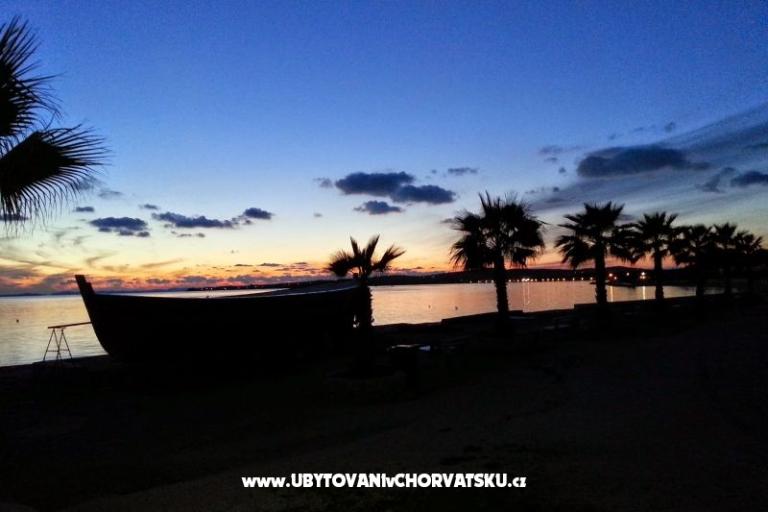 Villa Selina – photo 6