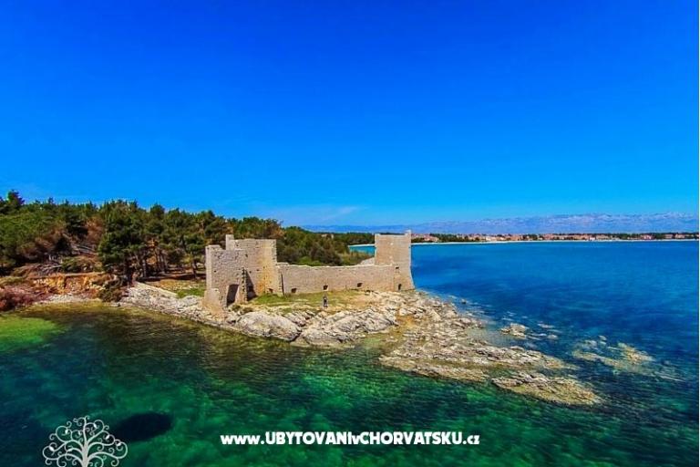 Villa Selina – photo 7
