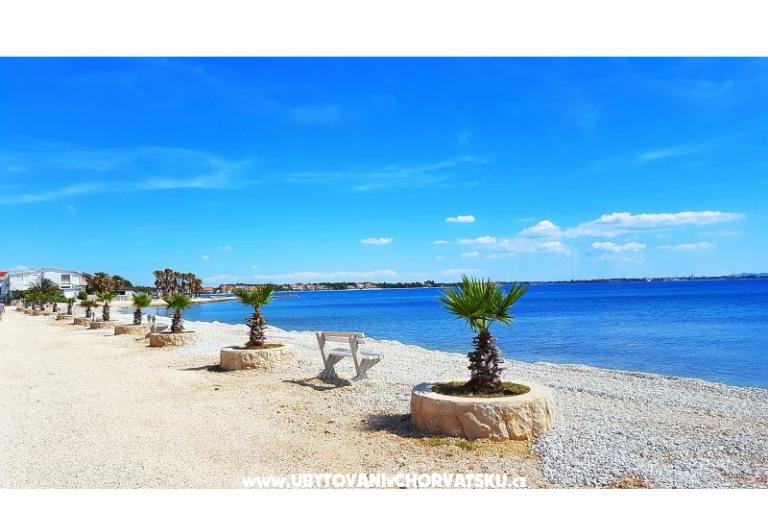Villa Selina – photo 8