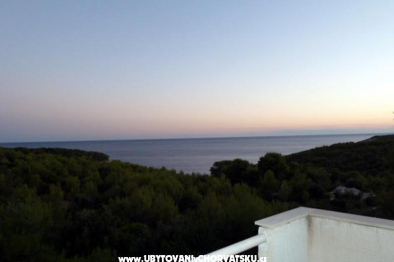 Apartments Janković Vis – photo 3