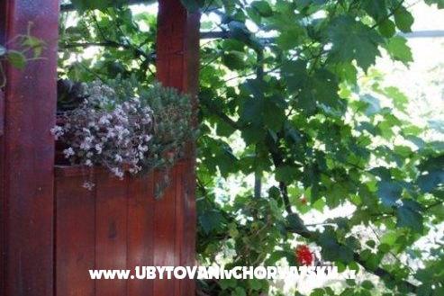 Apartments Tina – photo 9