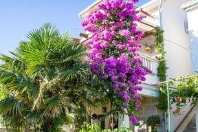 Apartment Gita -Ston House – photo 2