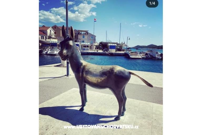 Apartment Viola – photo 24