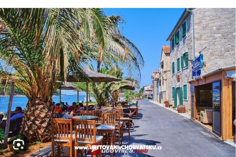 Apartment Viola – photo 25