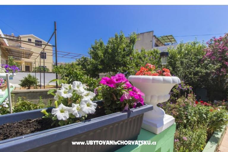 Apartments Alaga – photo 5