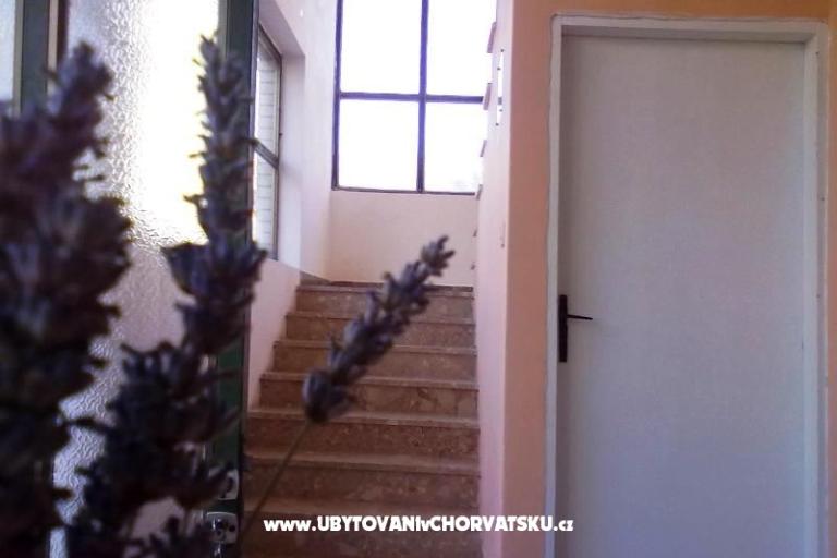 Apartments  Smokva   – photo 3