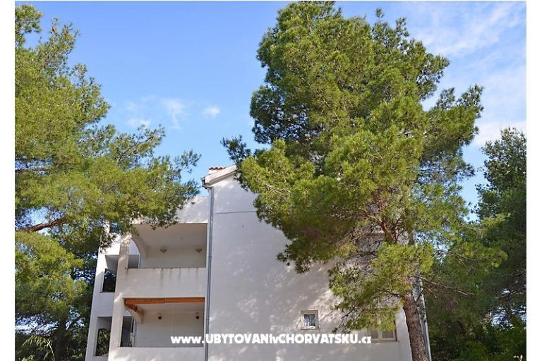 Apartments Bruno – photo 5