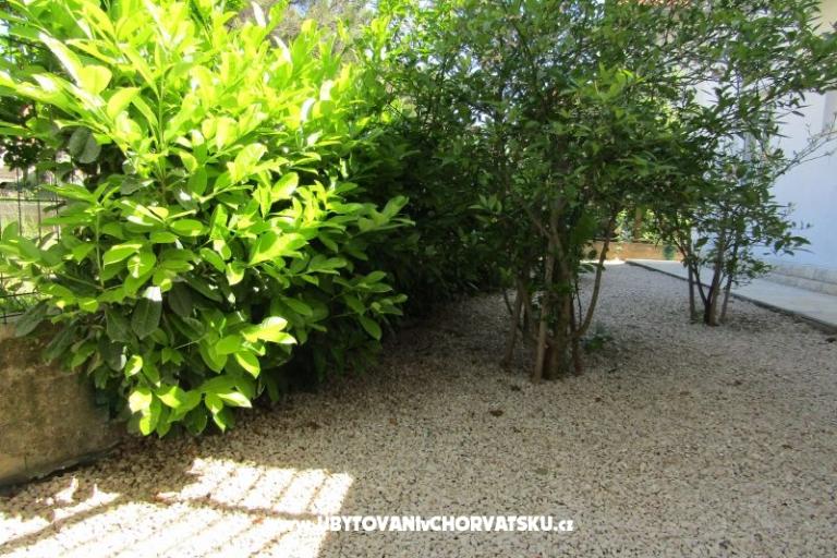 Apartments Kokor – photo 11