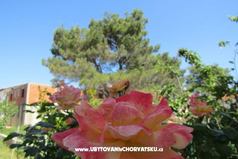 Apartments Kokor – photo 14