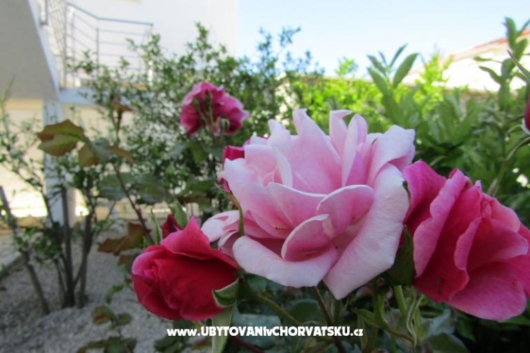 Apartments Kokor – photo 4