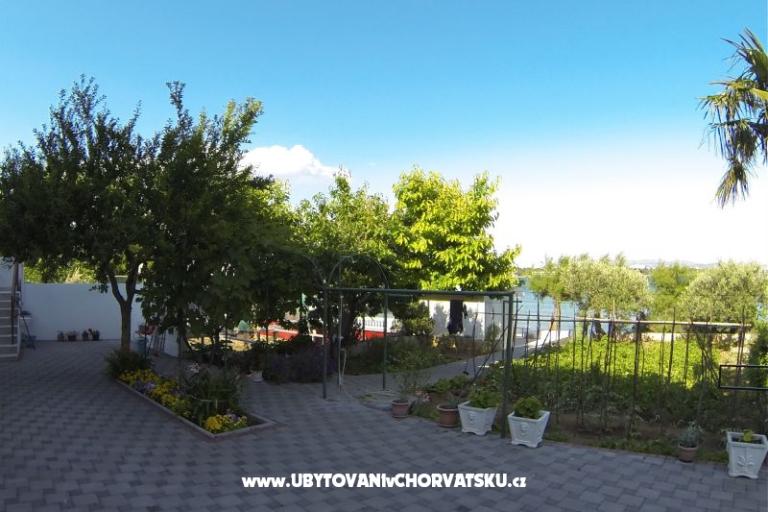 Apartments latin – photo 12