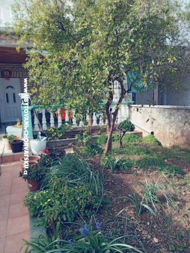 Apartments Marijana Alaga – photo 4