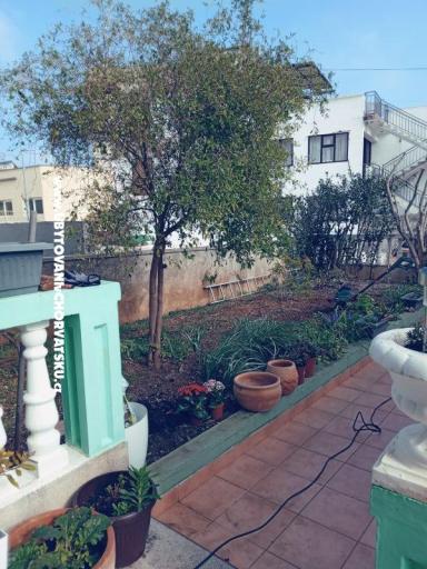 Apartments Marijana Alaga – photo 5