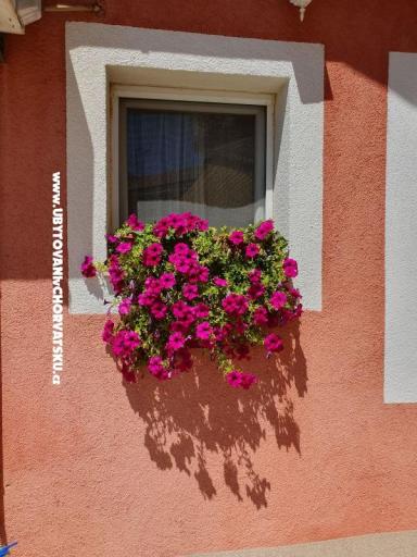 Apartments Nana – photo 17