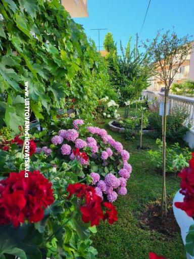 Apartments Rino – photo 35