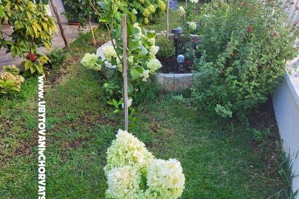 Apartments Rino – photo 37