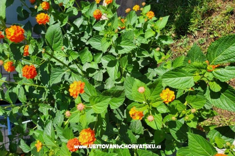 Apartments Rino – photo 38