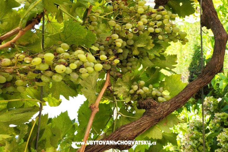 Apartments Rino – photo 39