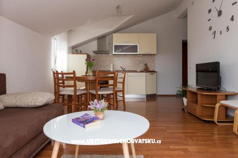 Apartments Summer House  – photo 4
