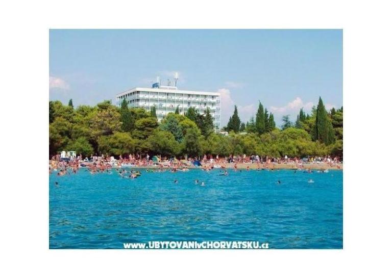 Apartments Vranjković – photo 7