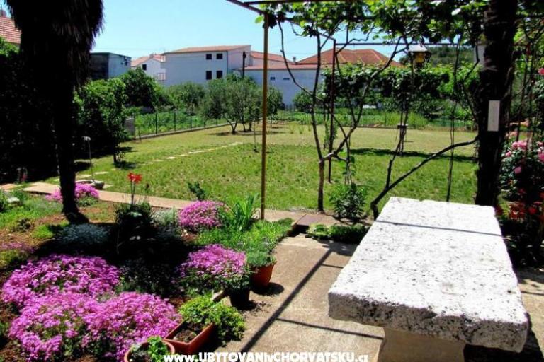 Apartments Zvonimir – photo 2