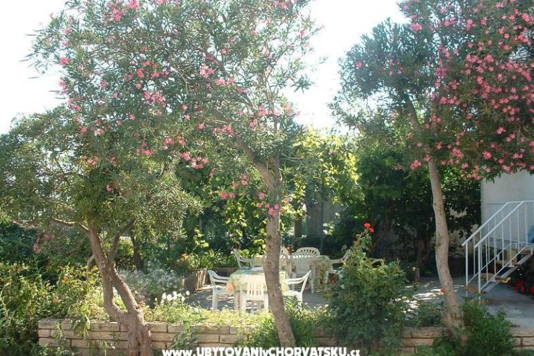Apartments 21 Vodice – photo 2
