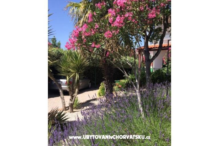 Apartments Milka – photo 21