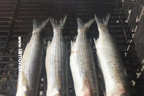 Apartments Milka – photo 27