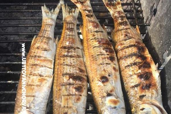 Apartments Milka – photo 28