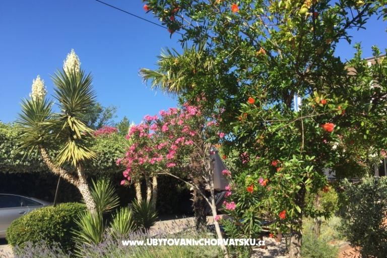 Apartments Milka – photo 36