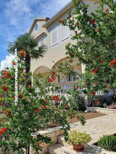 Apartments Duzelovi dvori  – photo 16