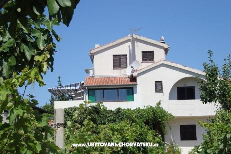 Antonela  – photo 5