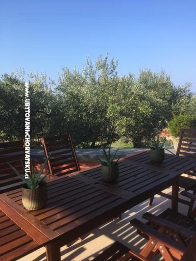 Galeb – photo 14