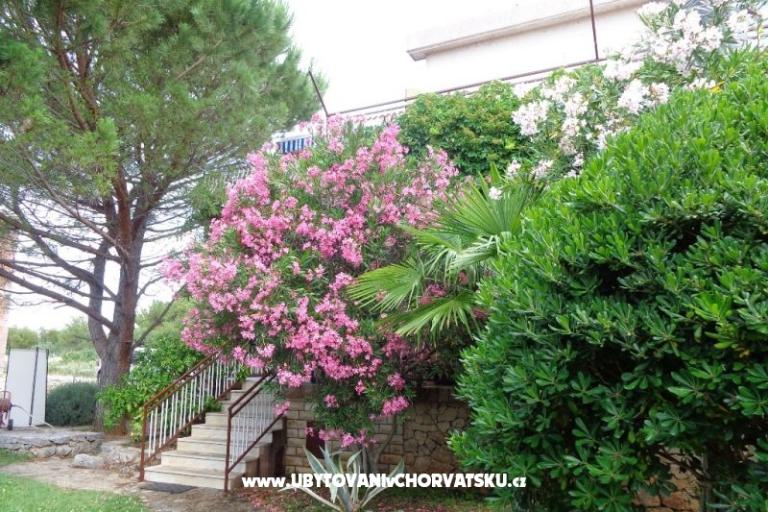 Apartments  IVAN   – photo 17