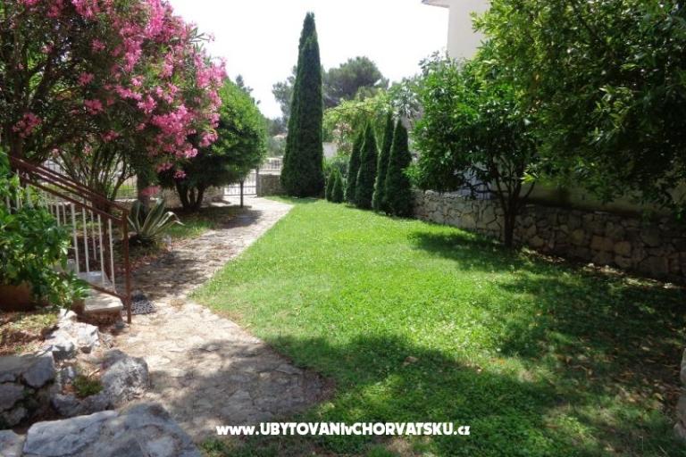 Apartments  IVAN   – photo 8