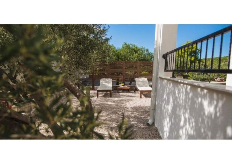 Olive Tree Apartments – photo 9