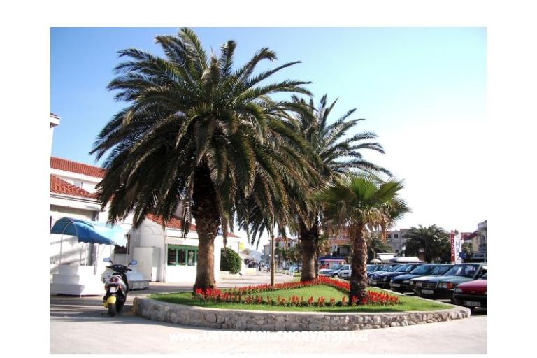 Apartments  Vesna  – photo 14