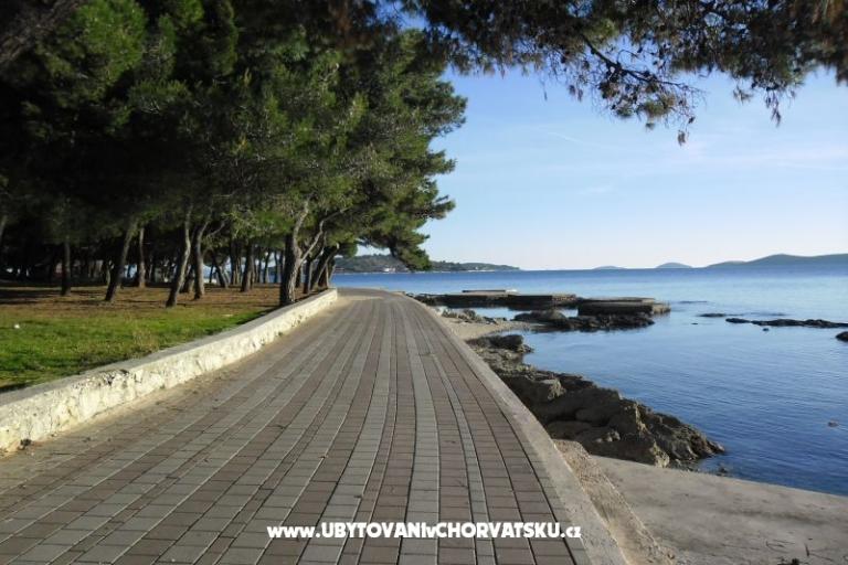 Apartments  Vesna  – photo 15
