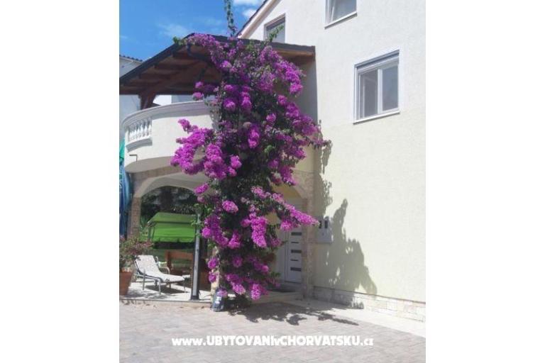 Apartments  Vesna  – photo 2