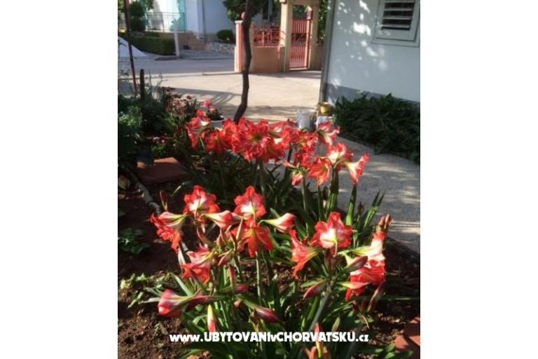 Villa Tanja *** – photo 4