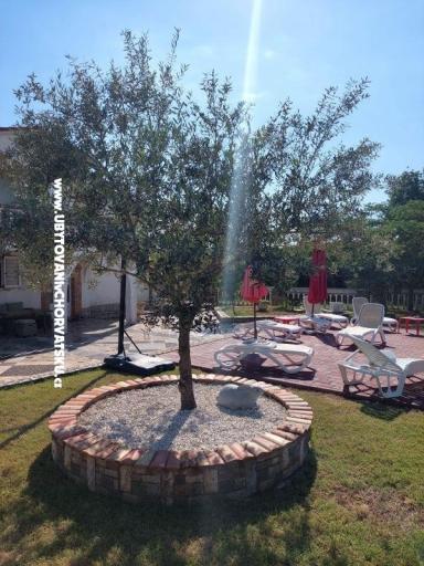 Apartments Chipo – photo 3