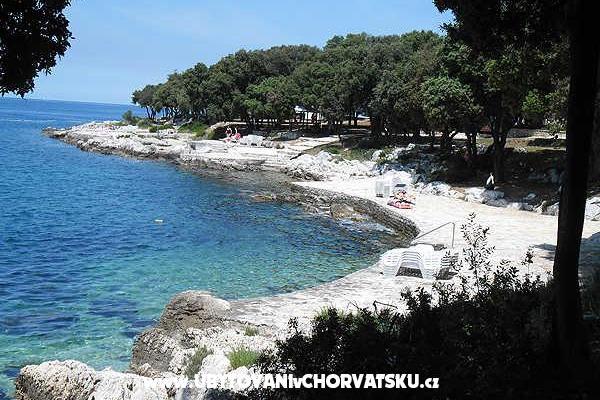 Apartmentets Fabio – photo 4