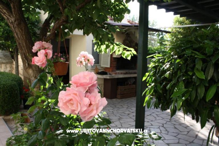 Adria Apartments – photo 4