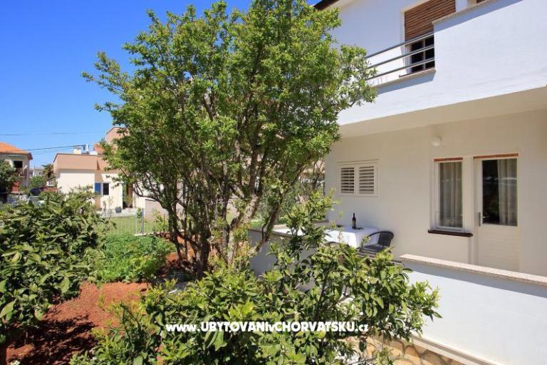 Apartment Josip – photo 3