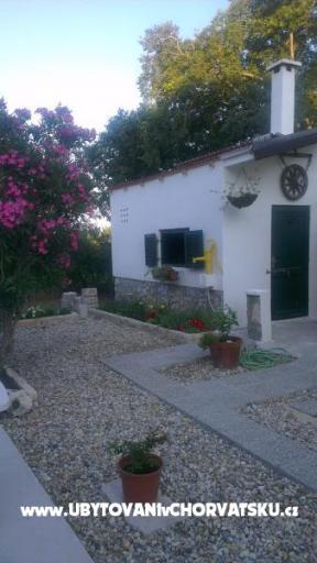 Apartment Karla - Vrsi – photo 10