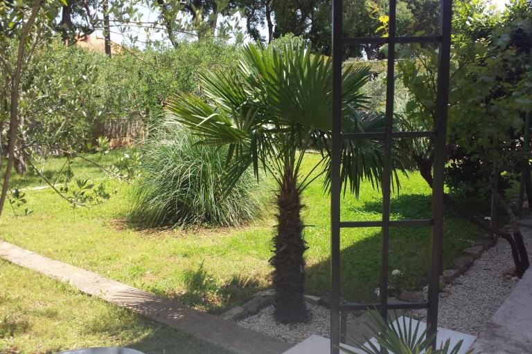 Apartment Korina – photo 2
