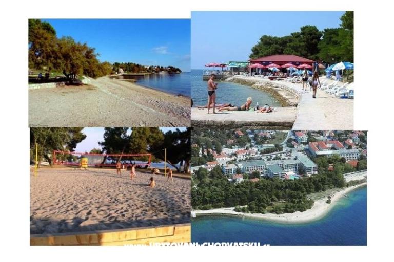 App Andrijana Zadar - 50 m beach – photo 17